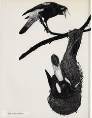 Orians Gordon. Blackbirds Of The Americas (Signé) Livre