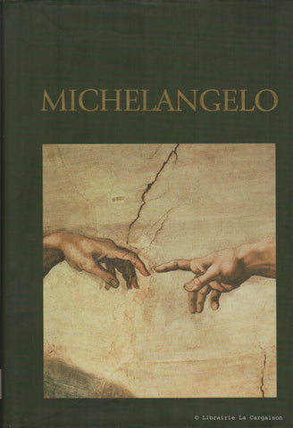 MICHELANGELO. Michelangelo