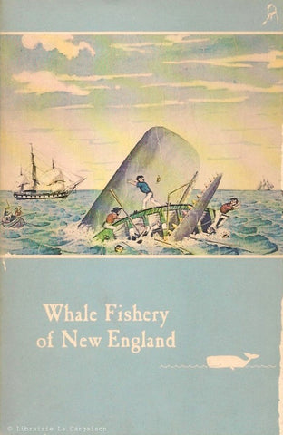 COLLECTIF. Whale Fishery of New England. An account, with illustrations and some interesting and amusing anecdotes, of the rise and fall of an industry which has made New England famous throughout the world.