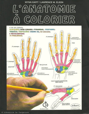 KAPIT-ELSON. Anatomie à colorier (L')