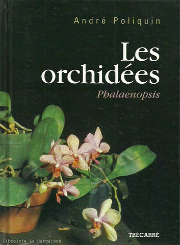 POLIQUIN, ANDRE. Orchidées (Les) - Phalaenopsis