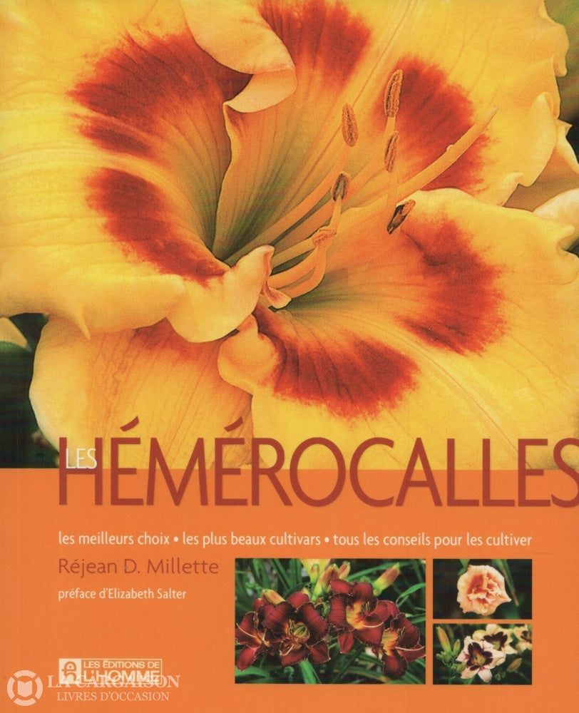 Millette Rejean D. Hémérocalles (Les):  Les Meilleurs Choix Les Plus Beaux Cultivars Tous Conseils