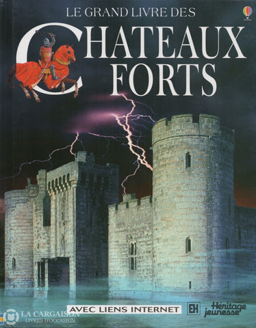 Sims Lesley. Grand Livre Des Châteaux Forts (Le) - Avec Liens Internet Livre